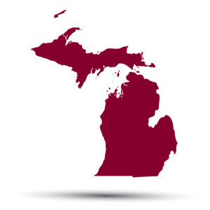 Michigan Student Loan Lawyers